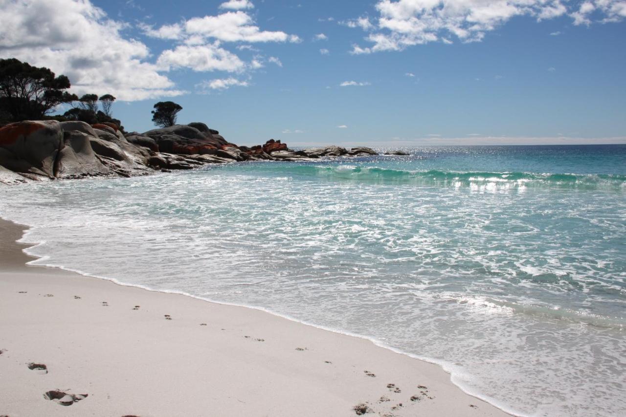 Binalong Beach Cottage Beachfront At Bay Of Fires Next To Restaurant Binalong Bay Exteriér fotografie